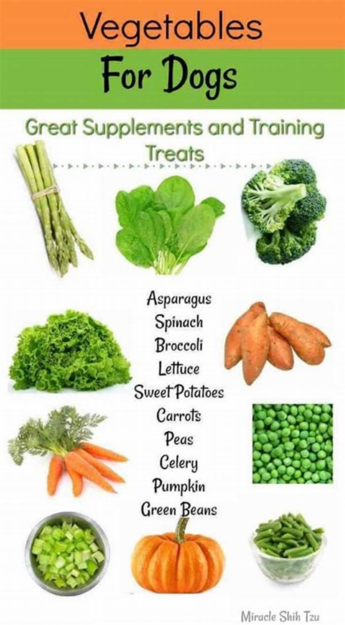 vegetables good for dogs with kidney disease