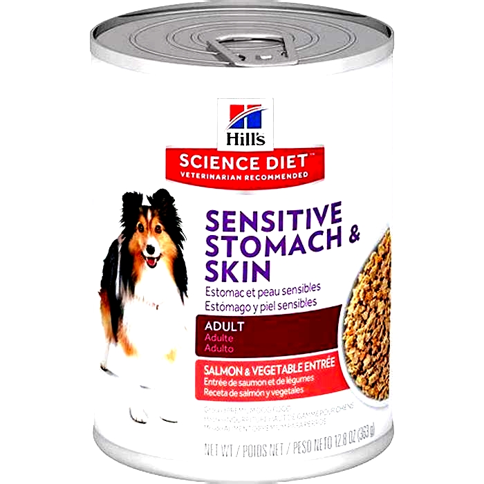 wet dog food for sensitive stomach